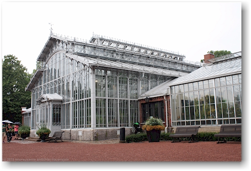glashaus des wintergarten talvipuutarha in helsinki