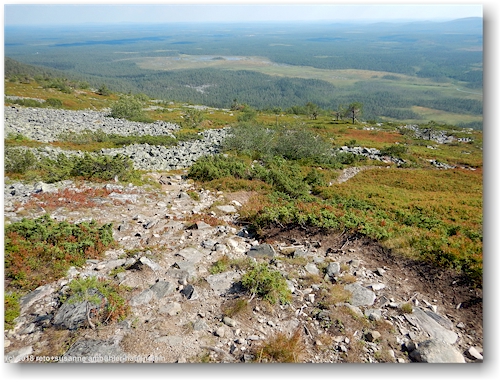 wanderweg richtung gipfel des noitatunturi im pyhae-luosto nationalpark