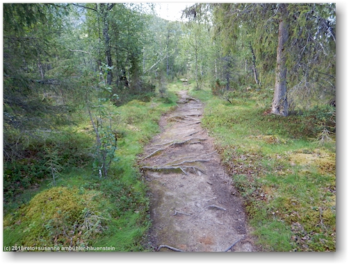 kungsleden bei parte