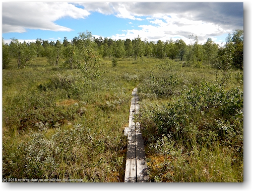 steg im verlauf des wanderweges entlang des laisaelven