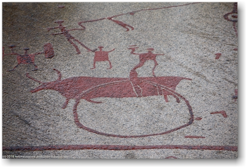 detail aus den felsritzungen im vitlycke museum bei tanum