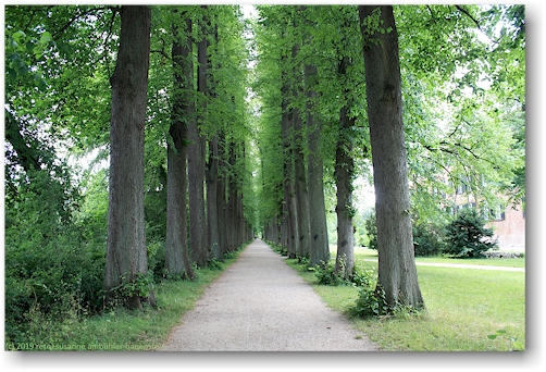 allee beim schloss eutin
