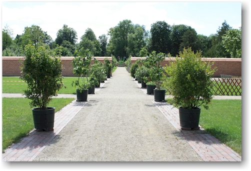 gewuerz- und kraeuter-garten beim schloss eutin