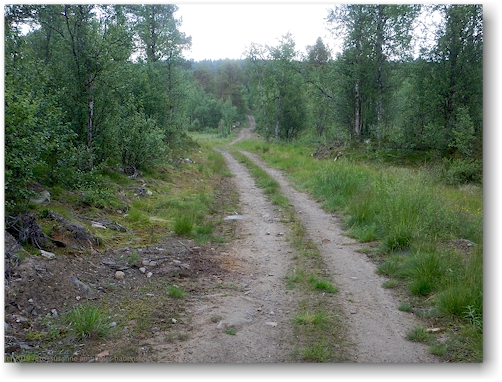 waldweg richtung adolfsstroem