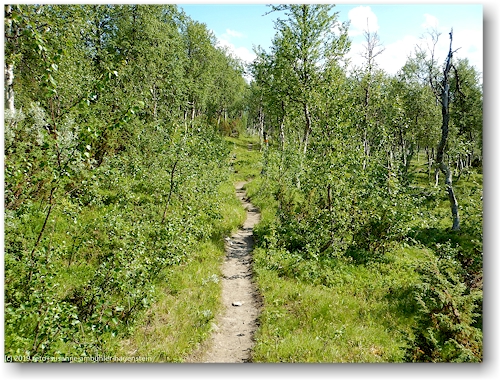 kungsleden richtung servestugan