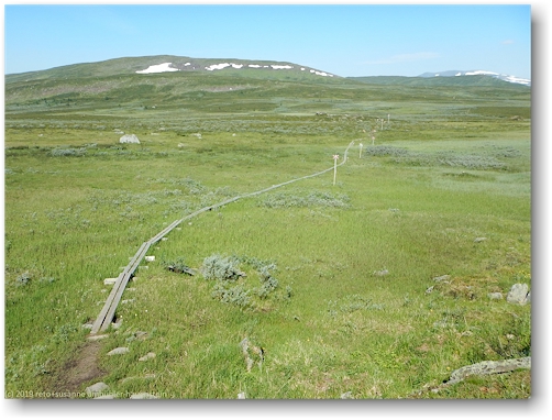 aufstieg im verlauf des kungsleden bei vuome