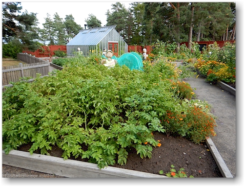 garten im mariebergsskogen in karlstad