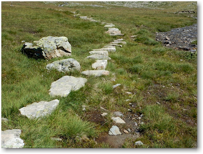 wanderweg im val languard