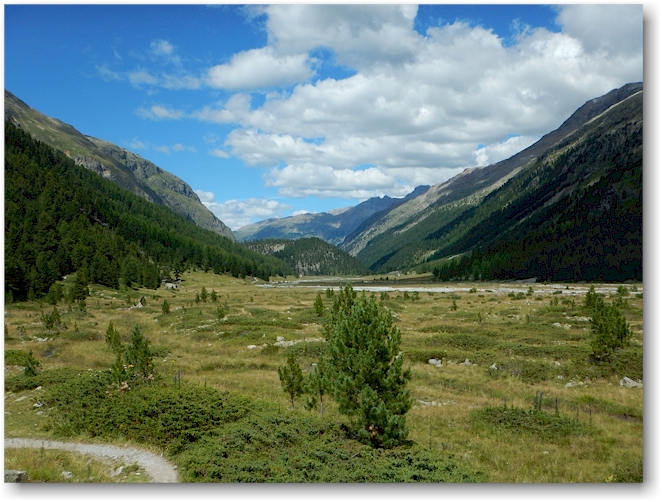 alp ota suot im val roseg