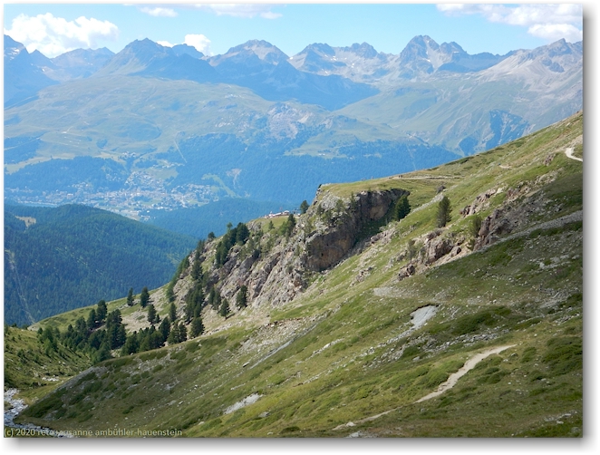 alp languard