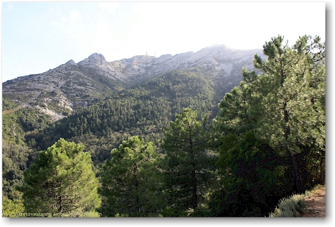 gipfel des monte capanne