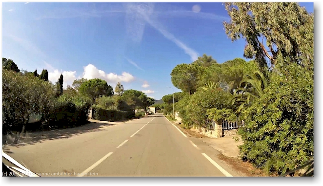 SP 30 durch lacona