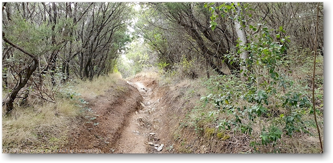 ausgewaschener wanderweg am monte tambone