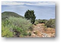 wanderweg richtung capo di fonza mit vorgelagerter insel