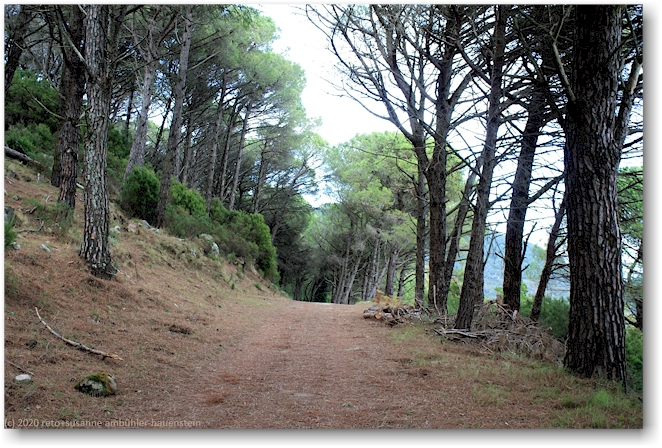 wanderweg richtung masso alla quata