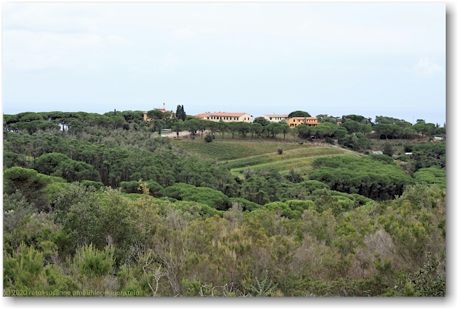 tenuta delle ripalte