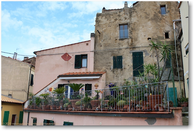 terrasse mit vielen pflanzen in capoliveri