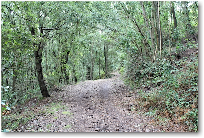 wanderweg richtung nisportino