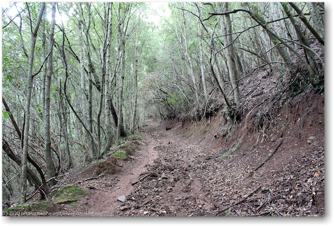 wanderweg richtung nisportino