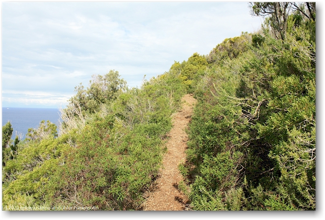 wanderweg bei punta delle casette