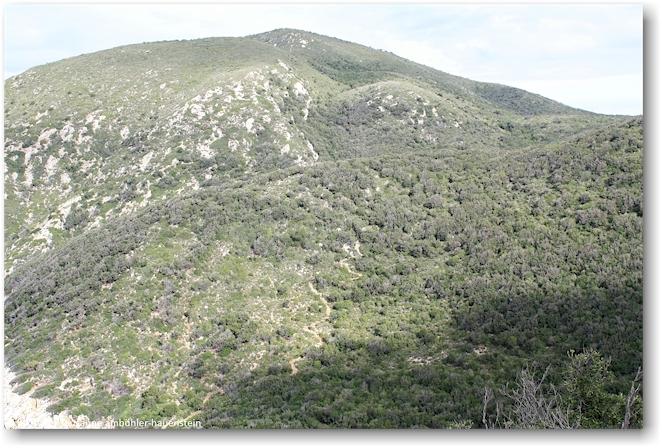 monte grosso