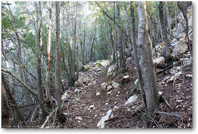 wanderweg