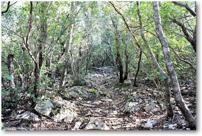 wanderweg