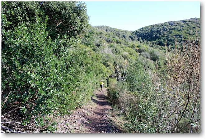 wanderweg im valle delle fiche