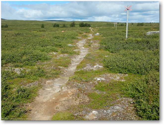 wanderweg ueber's kalfjaell