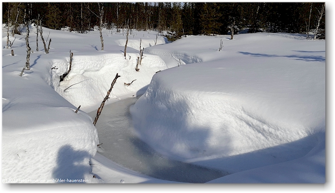 schneebedeckter bach bei bjoernen