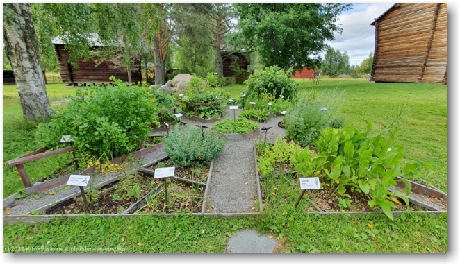 kraeuter- und gemuesegarten im freilichtmuseum gammelstad lulea