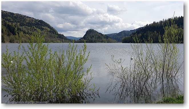 noerdliches ende des lac de kruth-wildenstein