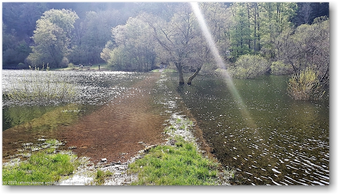 ueberschwemmter wanderweg am nordende des lac de kruth-wildenstein