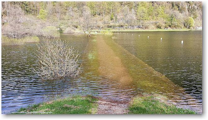 der ueberschwemmter wanderweg von der anderen seeseite