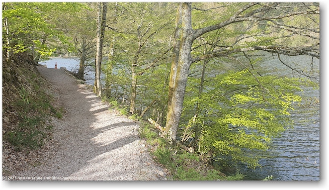 uferweg auf der westseite des lac de kruth-wildenstein