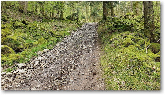 aeusserst steile und holprige forststrasse im seelwald