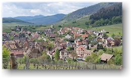 riquewihr umgeben von weinbergen