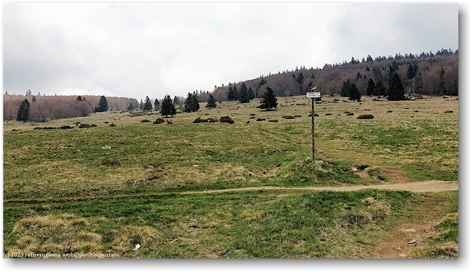 oberlaucher alp