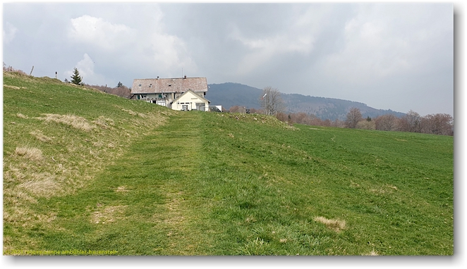 auberge steinlebach