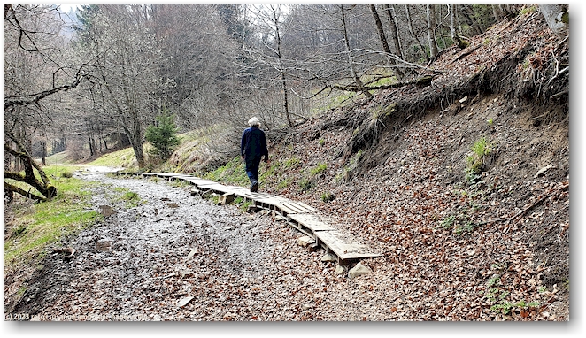 wandersteg ueber morast - ein kurzes stueck "schweden-feeling"