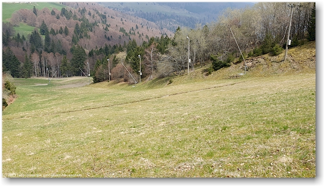 skipiste mit beschneiungsanlage und scheinwerfer am le markstein