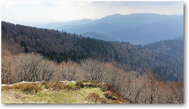 blick auf die suedlichen vogesen