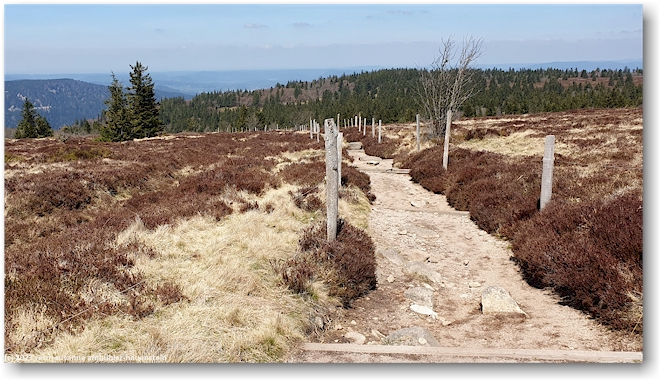wanderweg durch das hochmoor gazon du faing
