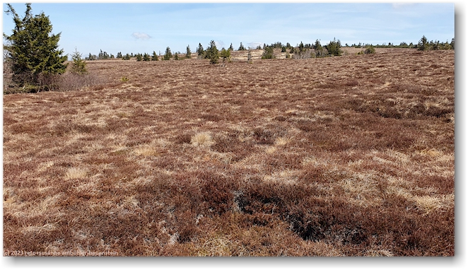 hochmoor gazon du faing - hier wurde einst torf abgebaut