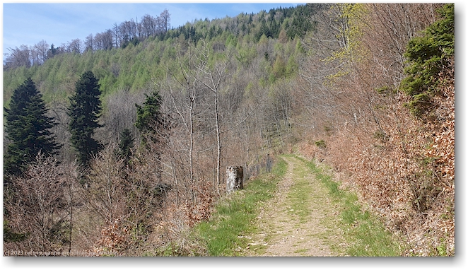wanderweg vom col de boenlesgrab richtung schellimatt