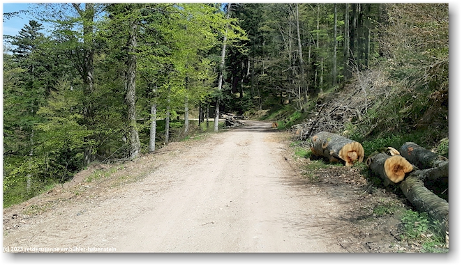 extrem holprige forststrasse 'kutschenpfad' vom col de boenlesgrab zur D40