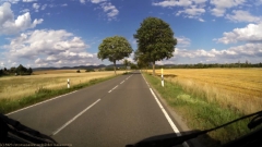 malerische allee im verlauf der K409 kurz vor scharzfeld im harz