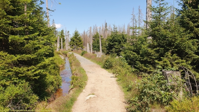 goetheweg - wanderweg richtung brocken
