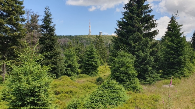 mast auf dem brocken