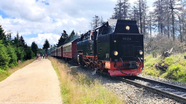 brockenbahn mit dampflokomotive